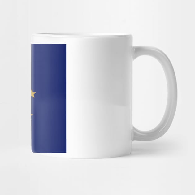 Gold and Blue Stars and Torch on Flag of Indiana by pdpress